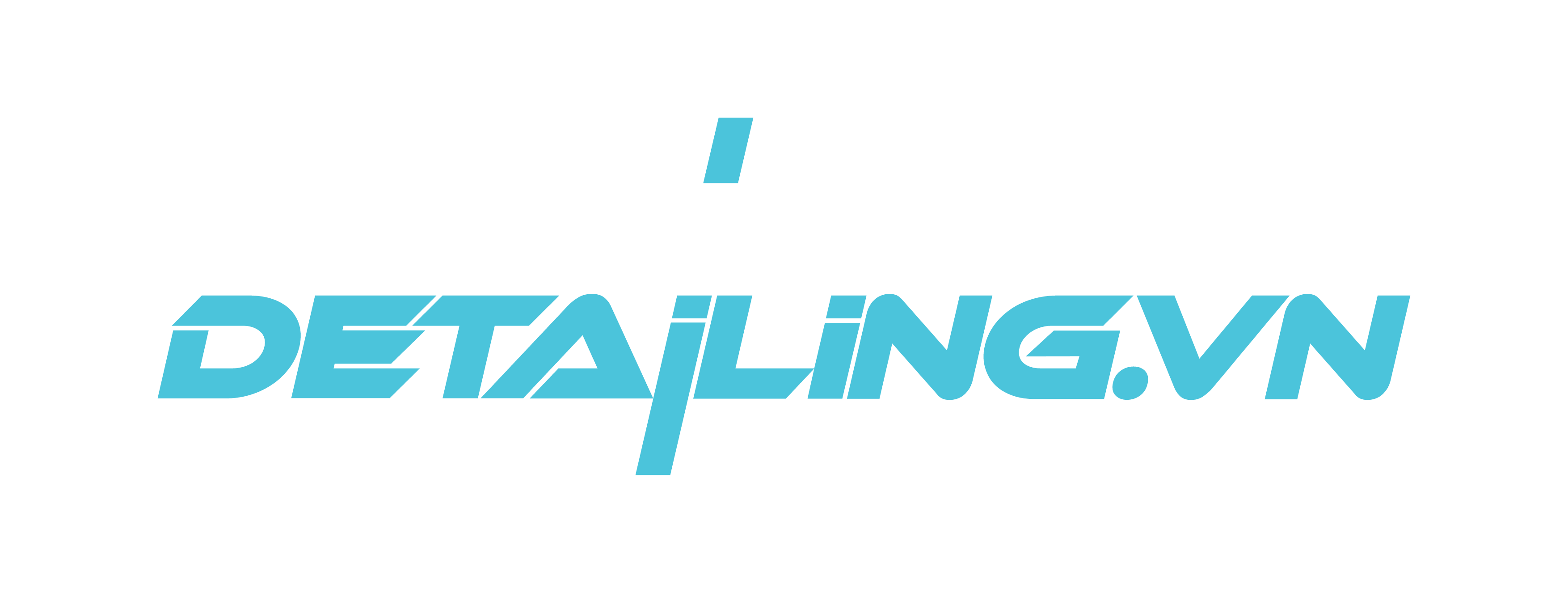 Store Detailing Logo
